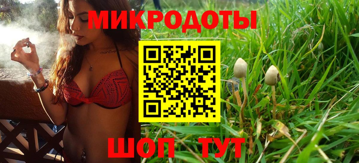 Аксай  Псилоцибиновые грибы мицелий  Вход с VPN 