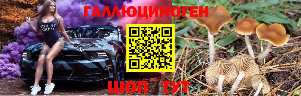 Псилоцибиновые грибы GOLDEN TEACHER Аксай